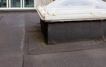 disadvantages of Higher Burrowtown flat roofs