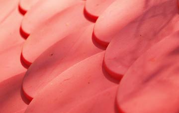 Higher Burrowtown plastic roof costs